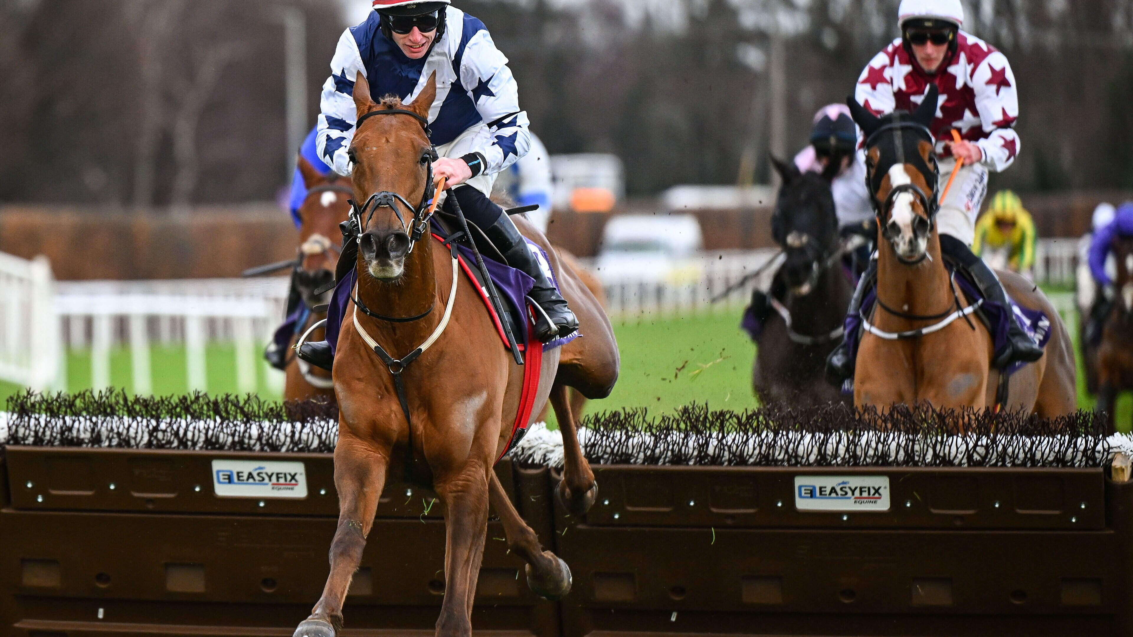 Patrick Mullins: El Cairos’ class can steer him clear of the carnage and help him plunder a bumper Galway Hurdle pot